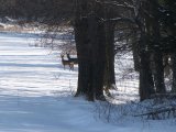 Příroda v naší honitbě nabízí rozmanitost a krásu